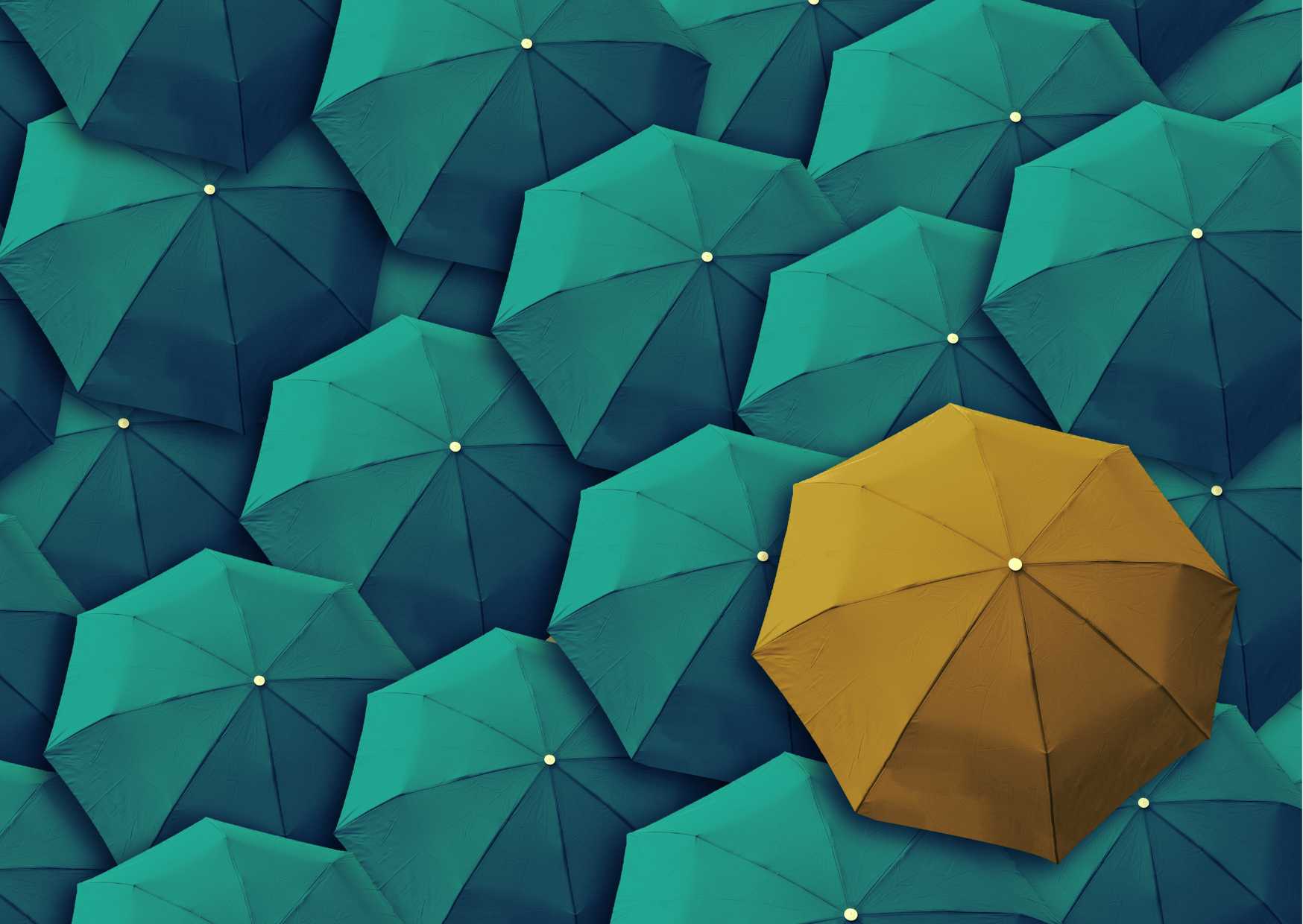 What exactly is #EdTech Leadership?  #WomenEd Tech