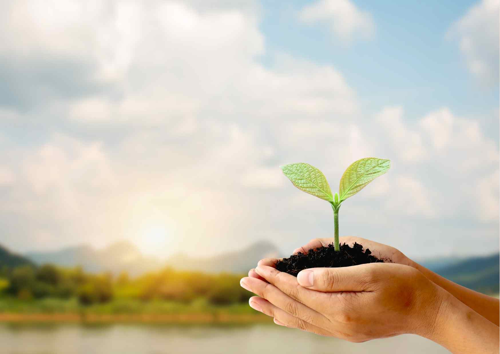 Growth – Personal and Professional